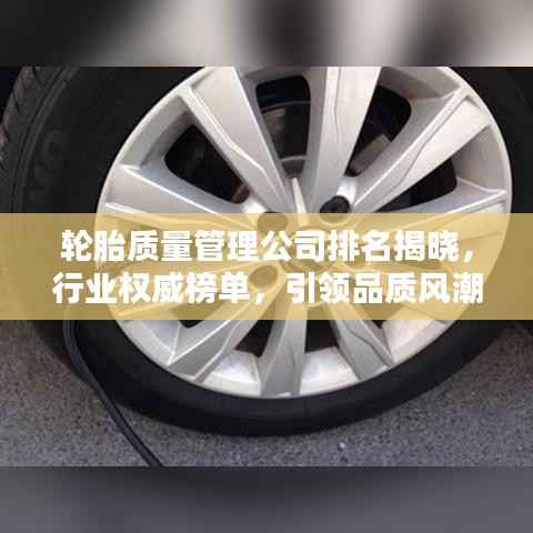 轮胎质量管理公司排名揭晓,行业权威榜单,引领品质风潮!