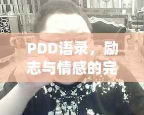 雅量高致 第2页