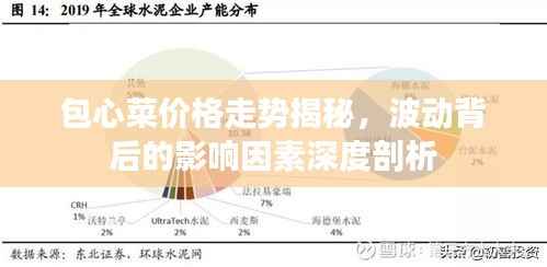 包心菜价格走势揭秘,波动背后的影响因素深度剖析