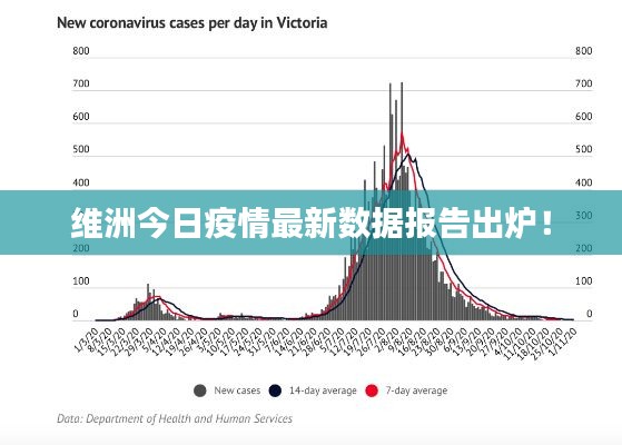 维洲今日疫情最新数据报告出炉!