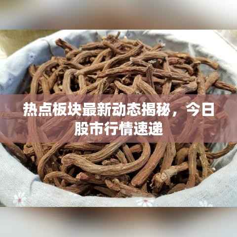 热点板块最新动态揭秘,今日股市行情速递