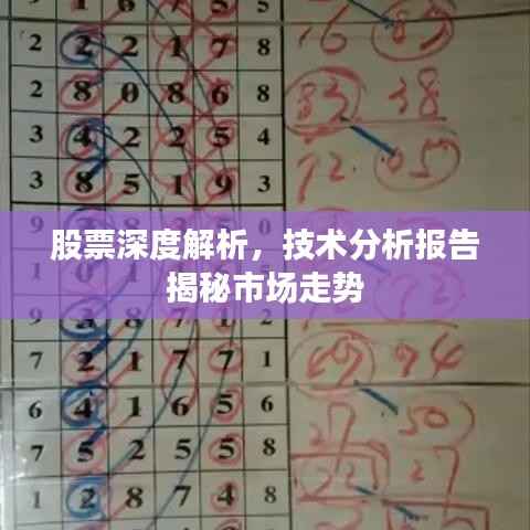 股票深度解析,技术分析报告揭秘市场走势
