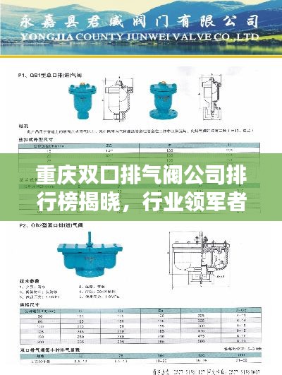 重庆双口排气阀公司排行榜揭晓,行业领军者榜单!