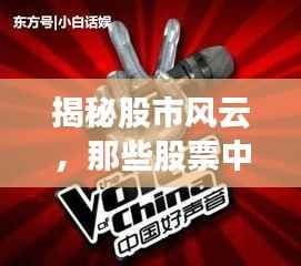 澹泊明志,宁静致远 第2页