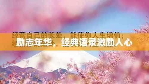 励志年华,经典语录激励人心