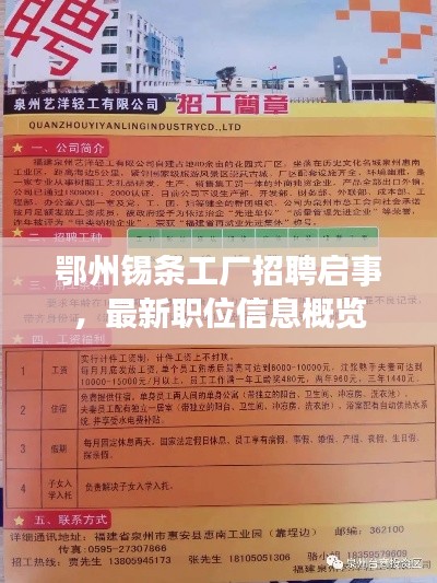 鄂州锡条工厂招聘启事,最新职位信息概览