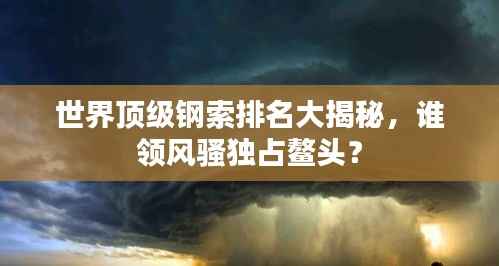 世界顶级钢索排名大揭秘,谁领风骚独占鳌头?