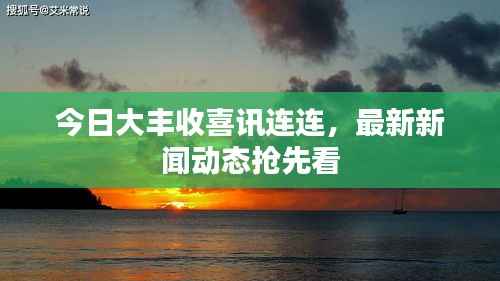 今日大丰收喜讯连连,最新新闻动态抢先看