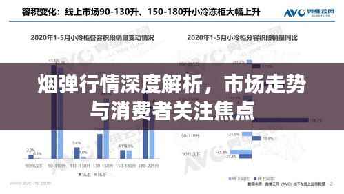 烟弹行情深度解析,市场走势与消费者关注焦点