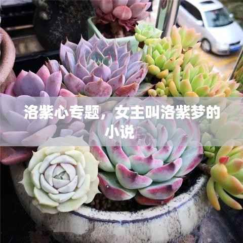 洛紫心专题,女主叫洛紫梦的小说