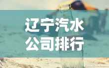 辽宁汽水公司排行榜揭晓,谁领风骚?