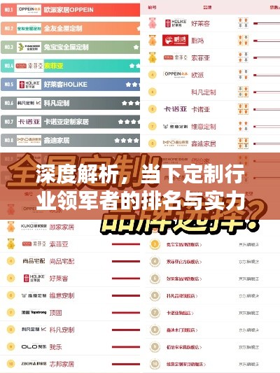 深度解析，当下定制行业领军者的排名与实力比拼！